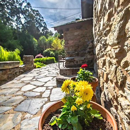 Rural En Playa De